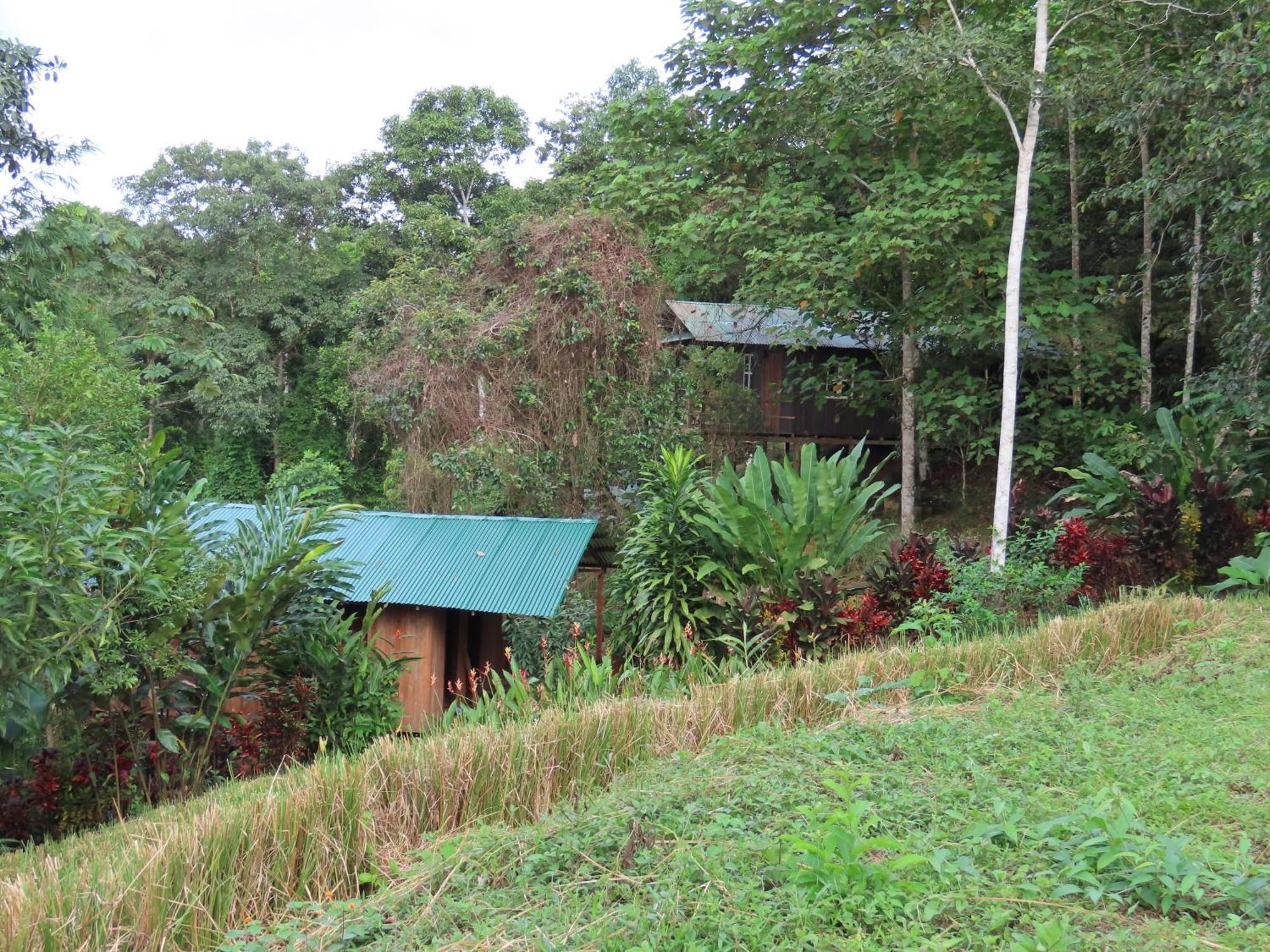 La Mariola - Finca Agroecologica El Castillo de La Concepción Exterior foto