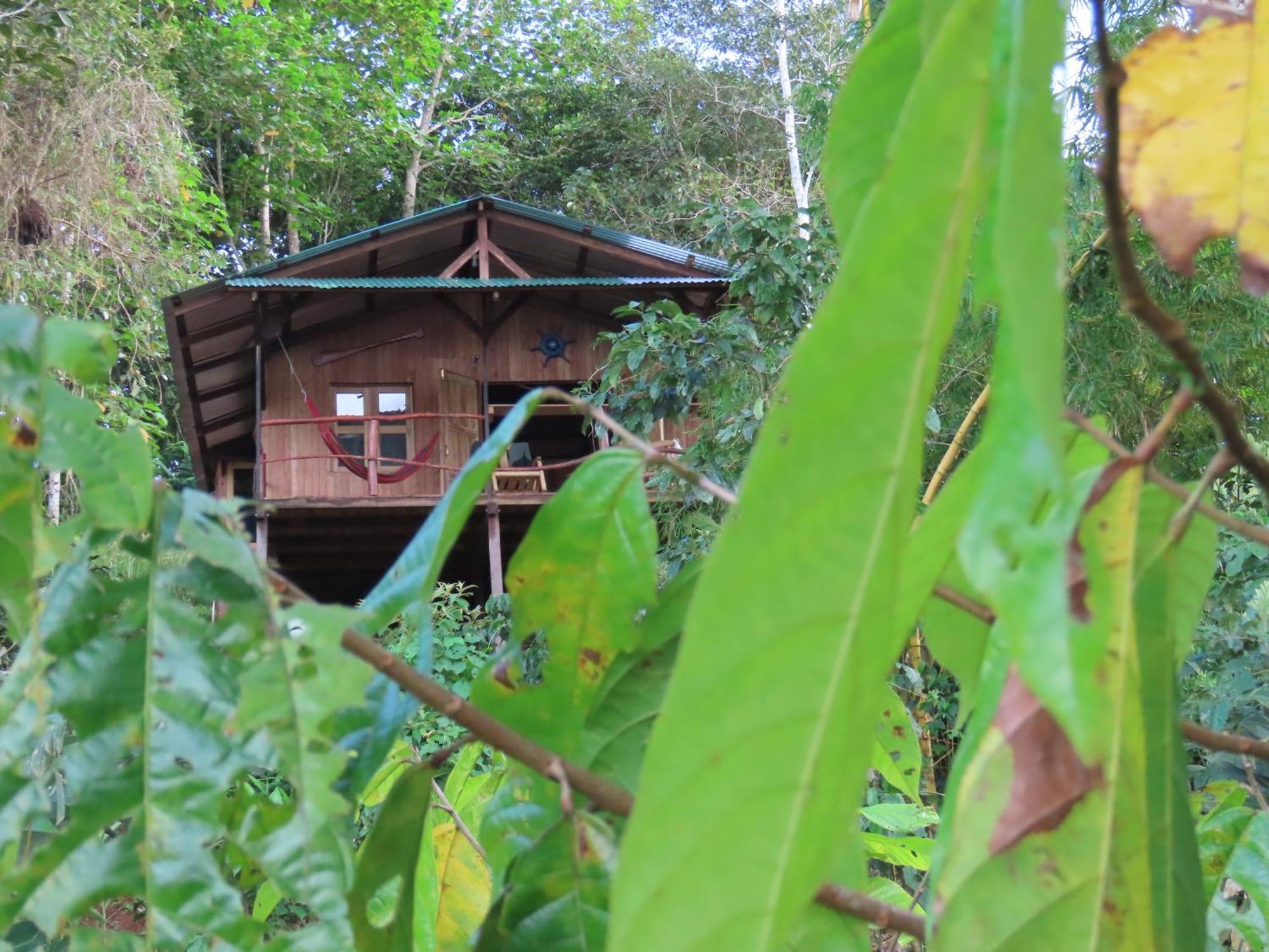 La Mariola - Finca Agroecologica El Castillo de La Concepción Exterior foto